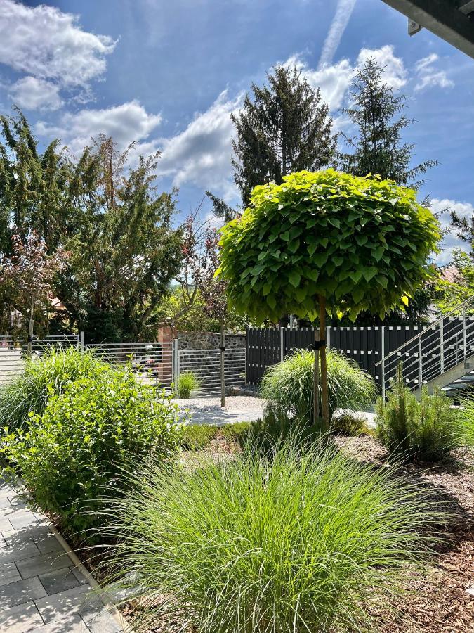 Apartmany Benesov Benesov nad Ploucnici Εξωτερικό φωτογραφία