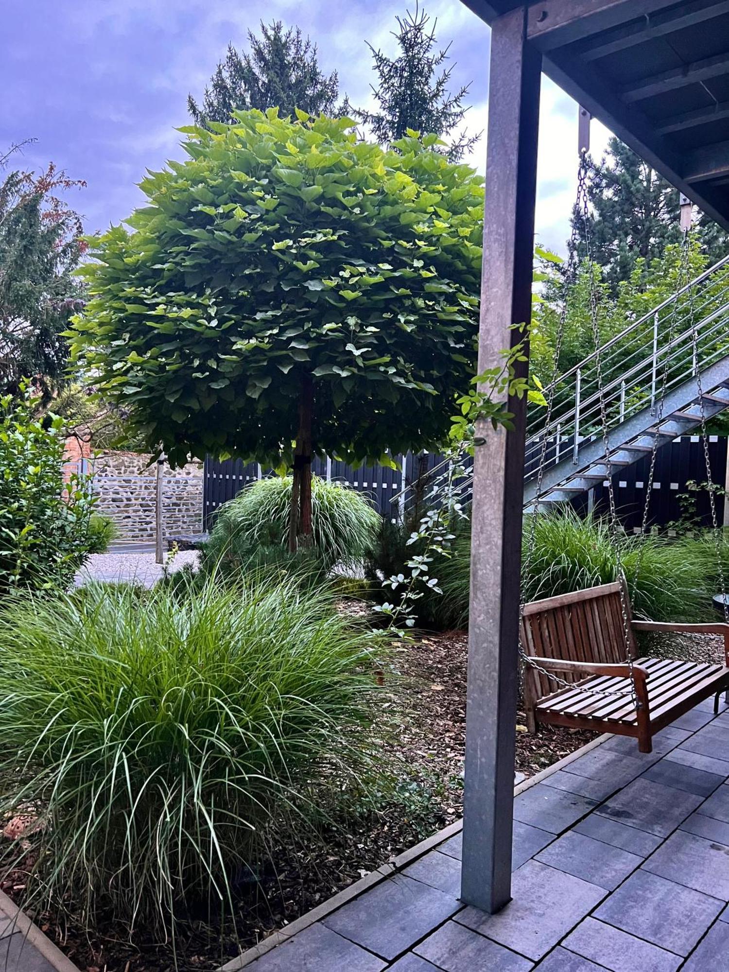 Apartmany Benesov Benesov nad Ploucnici Εξωτερικό φωτογραφία