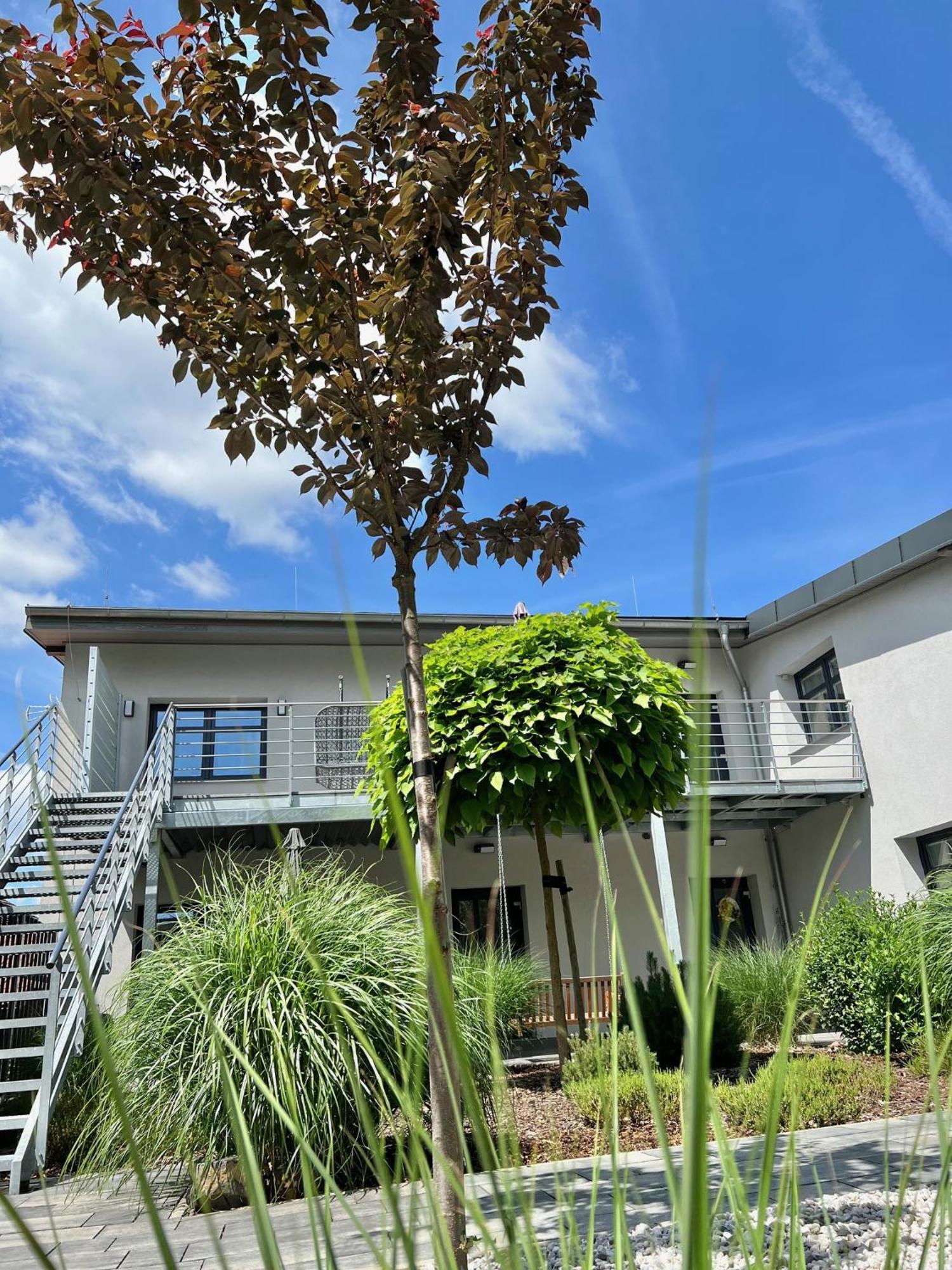 Apartmany Benesov Benesov nad Ploucnici Εξωτερικό φωτογραφία