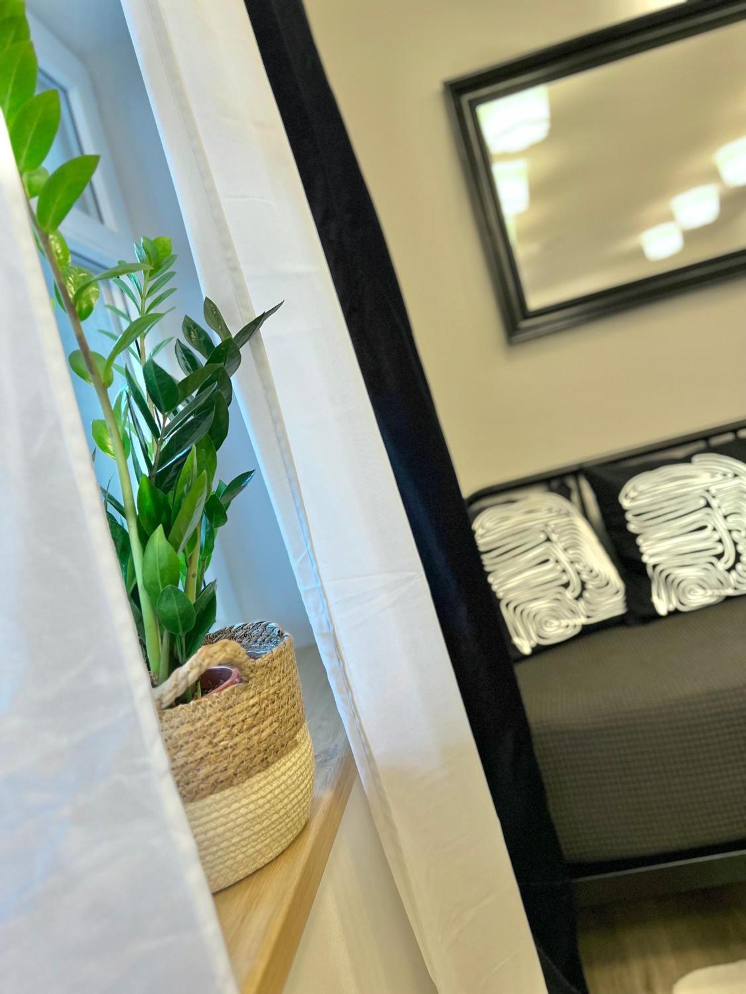 Apartmany Benesov Benesov nad Ploucnici Εξωτερικό φωτογραφία