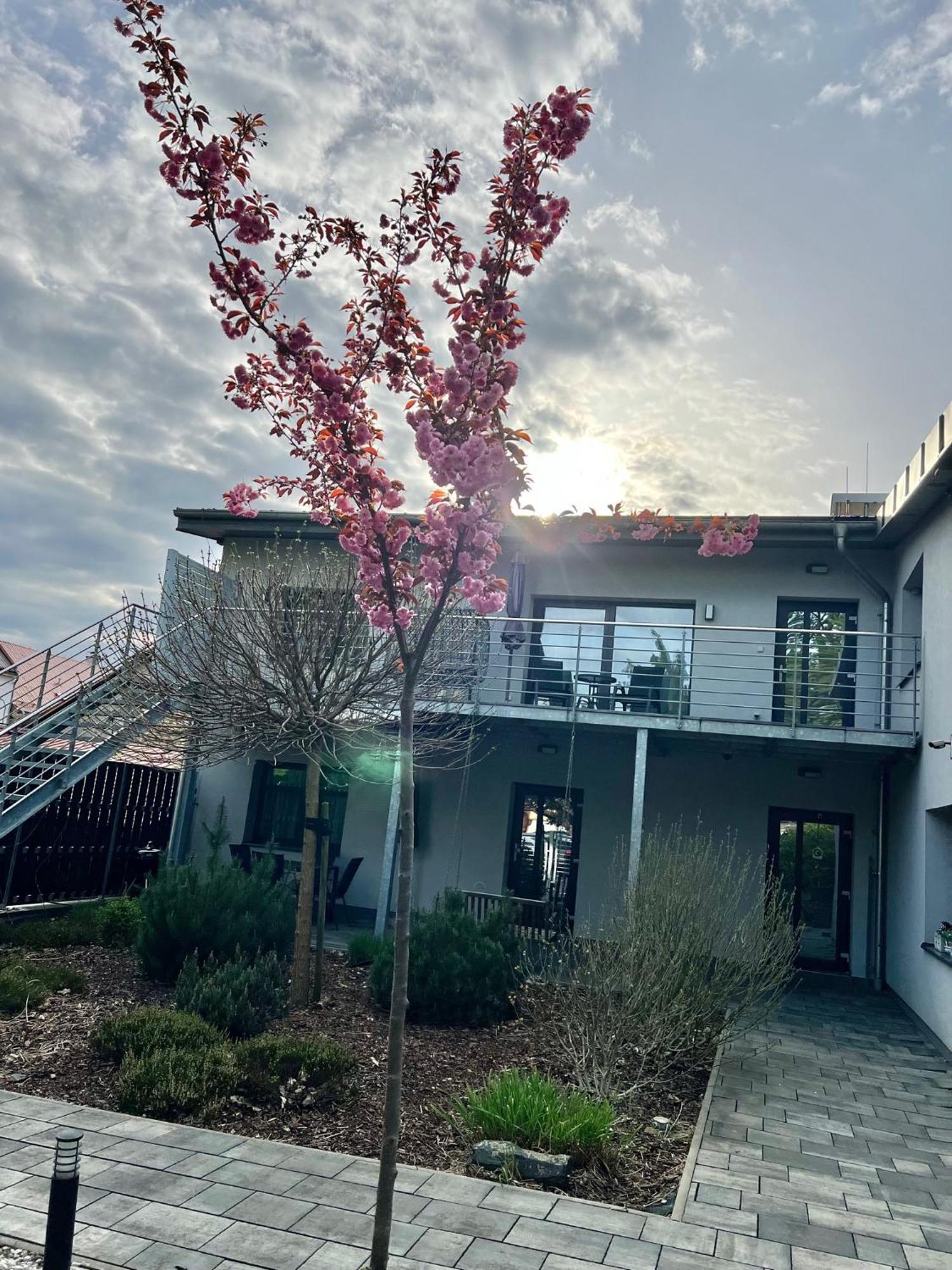 Apartmany Benesov Benesov nad Ploucnici Εξωτερικό φωτογραφία